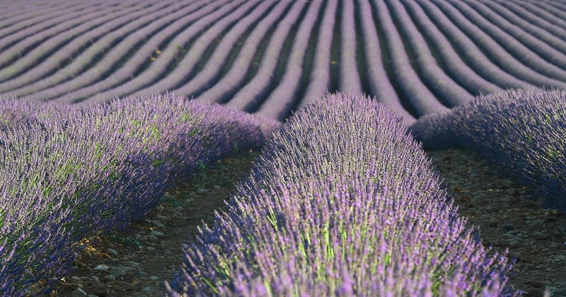Hausse du carburant : impact sur le transport et la livraison en Provence