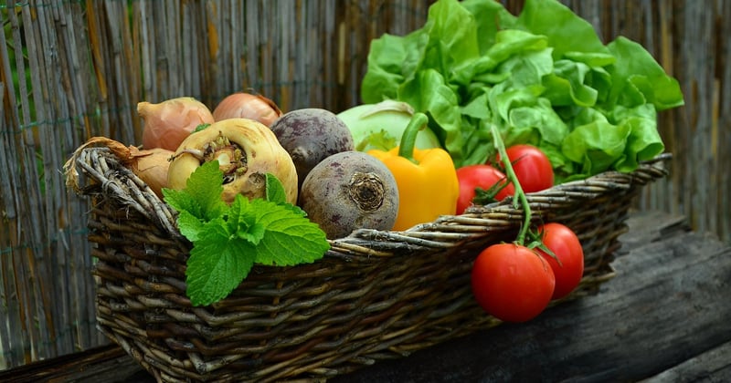 Transport de produits frais en Provence : le respect de la chaîne du froid